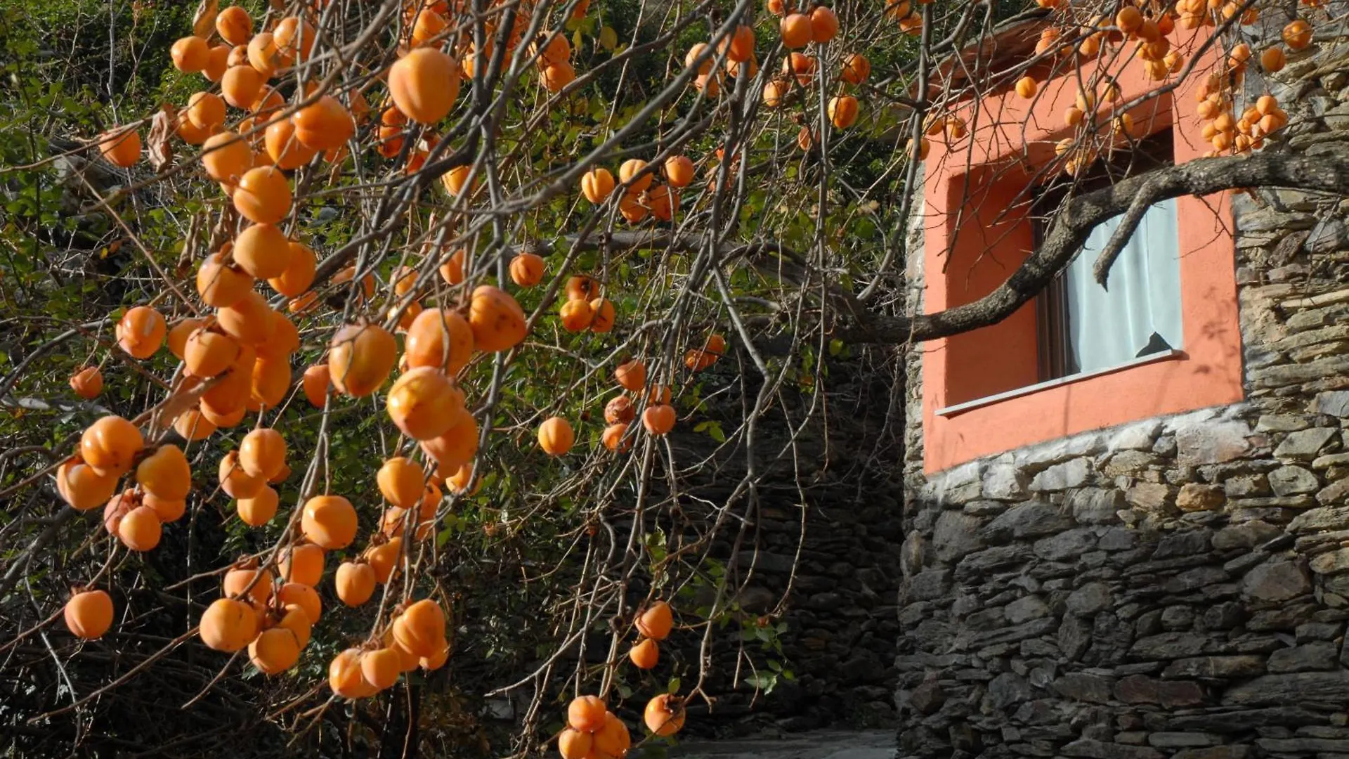 Hotel Masia D'En Valenti Anserall